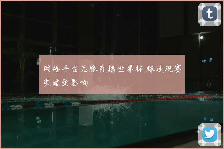 网络平台无缘直播世界杯 球迷观赛渠道受影响
