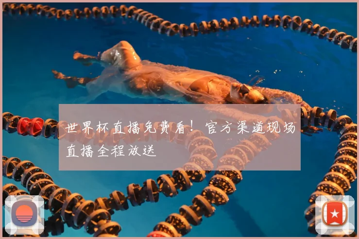 世界杯直播免费看！官方渠道现场直播全程放送