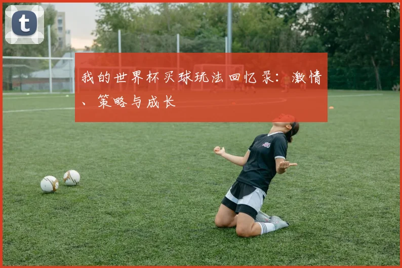 我的世界杯买球玩法回忆录：激情、策略与成长