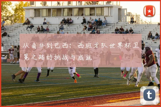 从南非到巴西:西班牙队世界杯卫冕之路的挑战与成就